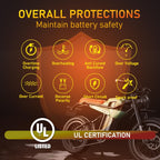 LVYUAN 25Amp Smart Car Battery Charger, 12V/24V Automotive Charger, Lead-Acid Battery, LiFePO4 Battery Maintainer with LCD Display, Trickle Charger, for Lawn Mower, Motorcycle, AGM, STD, Gel, EFB,etc