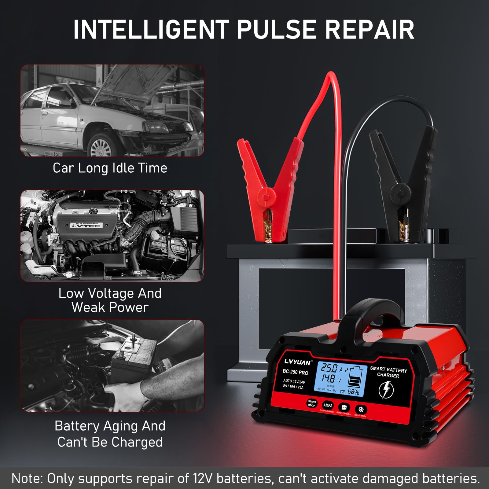 LVYUAN 25Amp Smart Car Battery Charger, 12V/24V Automotive Charger, Lead-Acid Battery, LiFePO4 Battery Maintainer with LCD Display, Trickle Charger, for Lawn Mower, Motorcycle, AGM, STD, Gel, EFB,etc