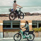 RAYMACE Bike Basket Rear Rack with Cargo Net, Liner and Waterproof Cover,Heavy Duty Bicycle Basket Perfect for Electric Bike